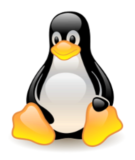 This image is the Linux Logo which is a supported platform of Diskover Data Curation Software