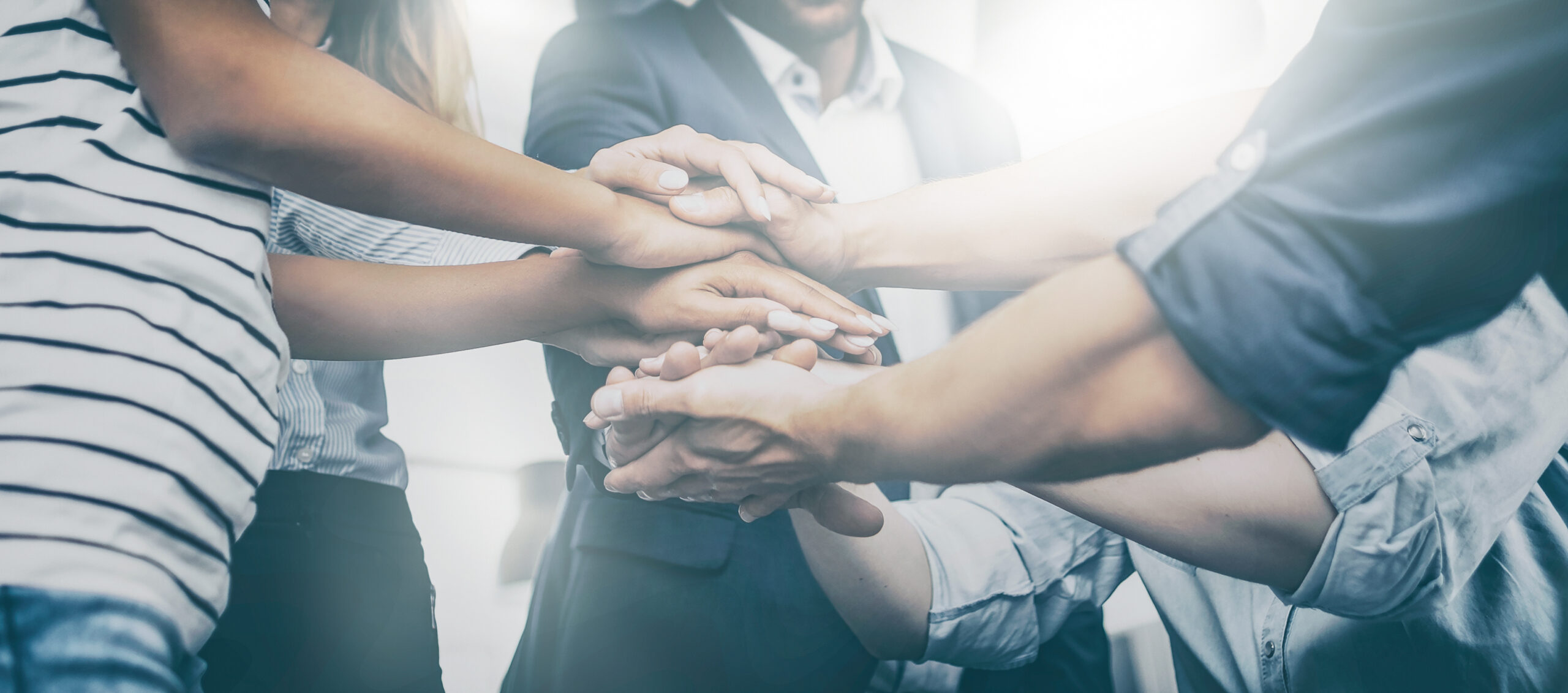 Diskover Leadership Profile