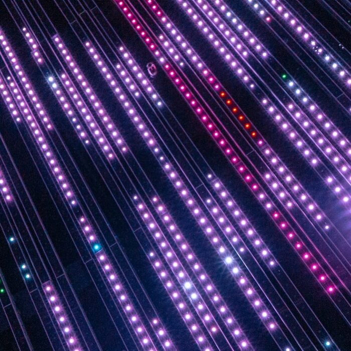 abstract light strings