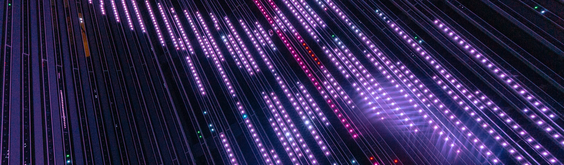 abstract light strings