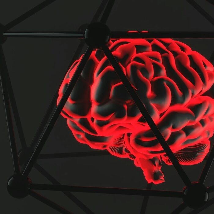 red brain image