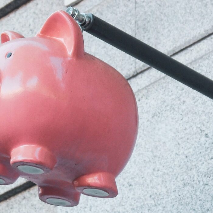 piggy bank